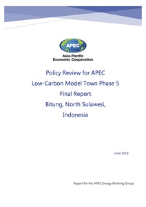 1748-LCMT_Phase_5_Policy_Review_final_report_cover