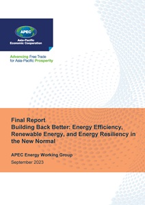 COVER_223_EWG_Building Back Better Energy Efficiency